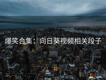 爆笑合集：向日葵视频相关段子