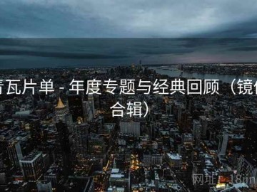 青瓦片单 - 年度专题与经典回顾（镜像合辑）